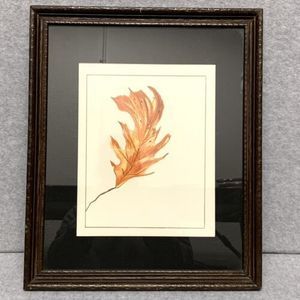 Beautifully Framed And Matted Original Pastel Drawing‎ Of A Leaf On Paper